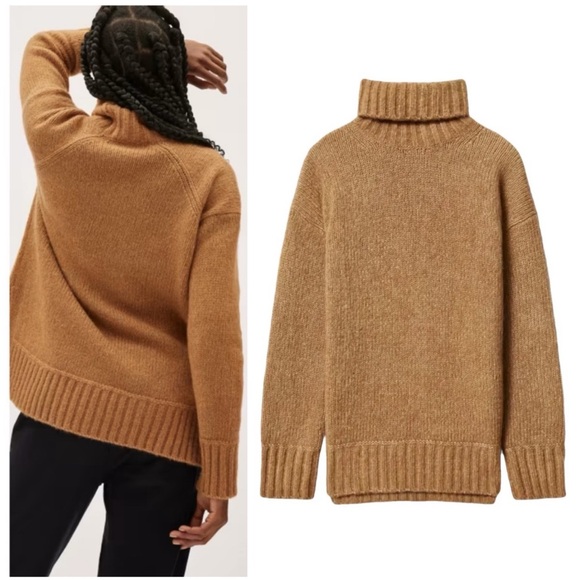 Everlane The Cloud Turtleneck Alpaca Wool Blend
Brown Sweater M - Picture 4 of 16